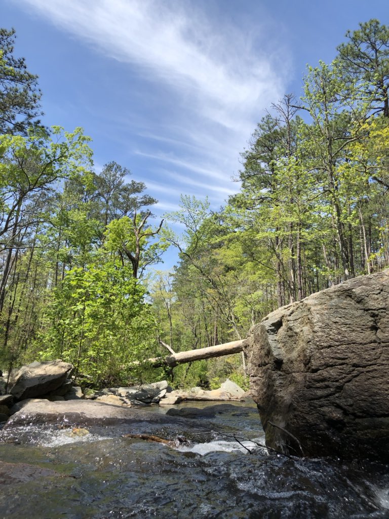 Allen_B__'s tweet photo. Cheaha Falls on a ideal spring day in Alabama
#ALwx #HikeAL #SweetHome https://t.co/guVRYMbVGI