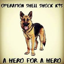 OpShellShockUS's tweet photo. #OPSHELLSHOCKK9S (SERVICE DOGS FOR TROOPS & VETERANS, THERAPY DOGS.)
"ELVIS, PRISCILLA, KING, SADIE, JOHNNY CASH, JUNE CARTER."
OPERATION SHELL SHOCK PTSD AWARENESS US MILITARY SUICIDE PREVENTION PROGRAM https://t.co/WBgNoRZd1A