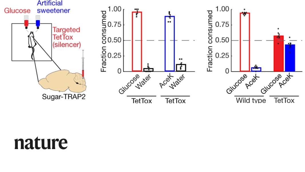 NaturePortfolio's tweet photo. A study in Nature identifies a gut-to-brain sugar-sensing pathway that drives a behavioral preference for sugar. https://t.co/AYAahO7cEX https://t.co/pVIABZdGLS