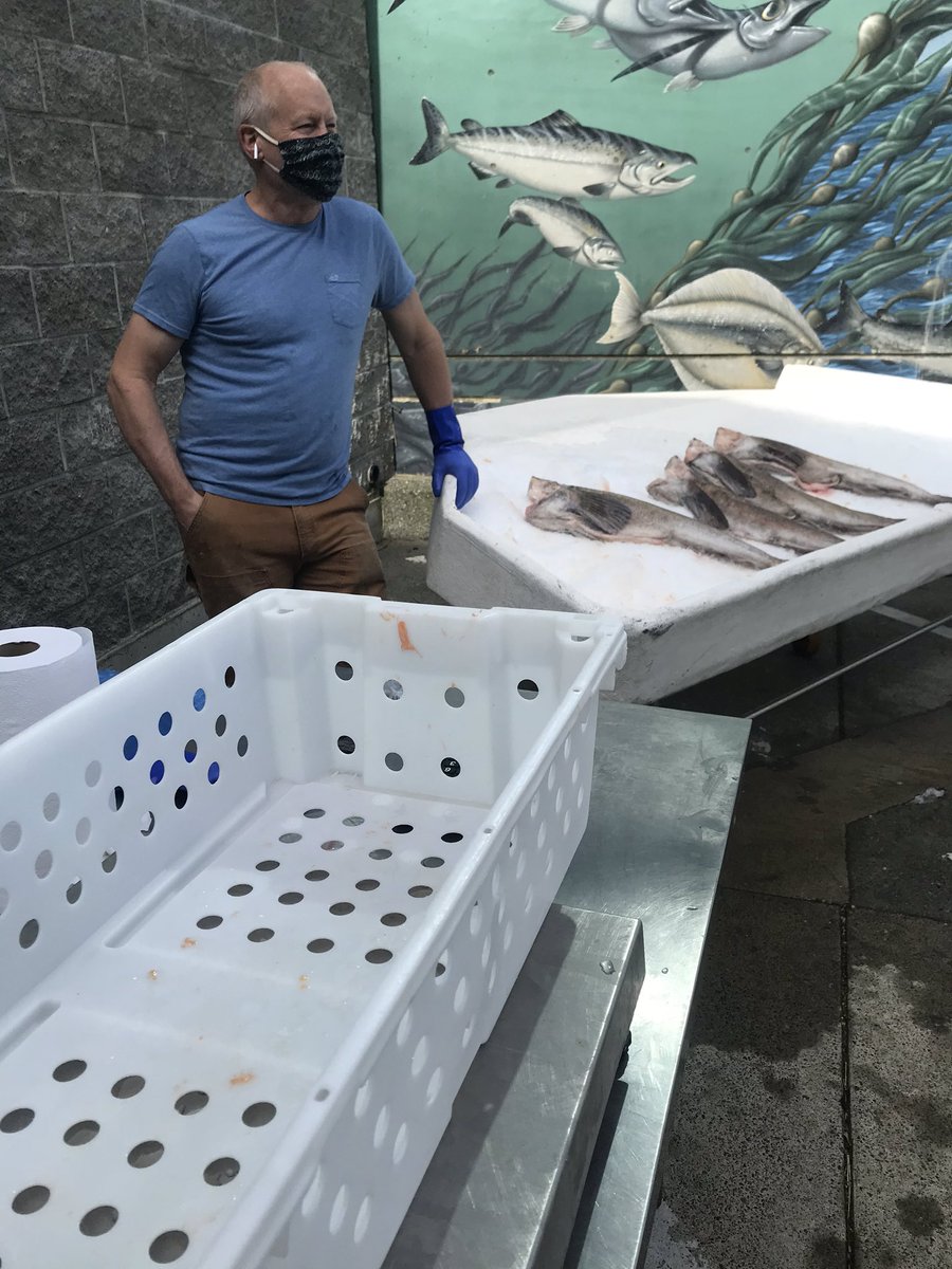 Fresh off the boat. Troll caught Ling Cod. On Sale now!!!  Come on down