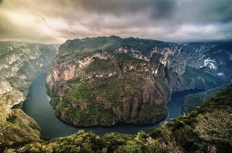 Visit Chiapas App tweet media