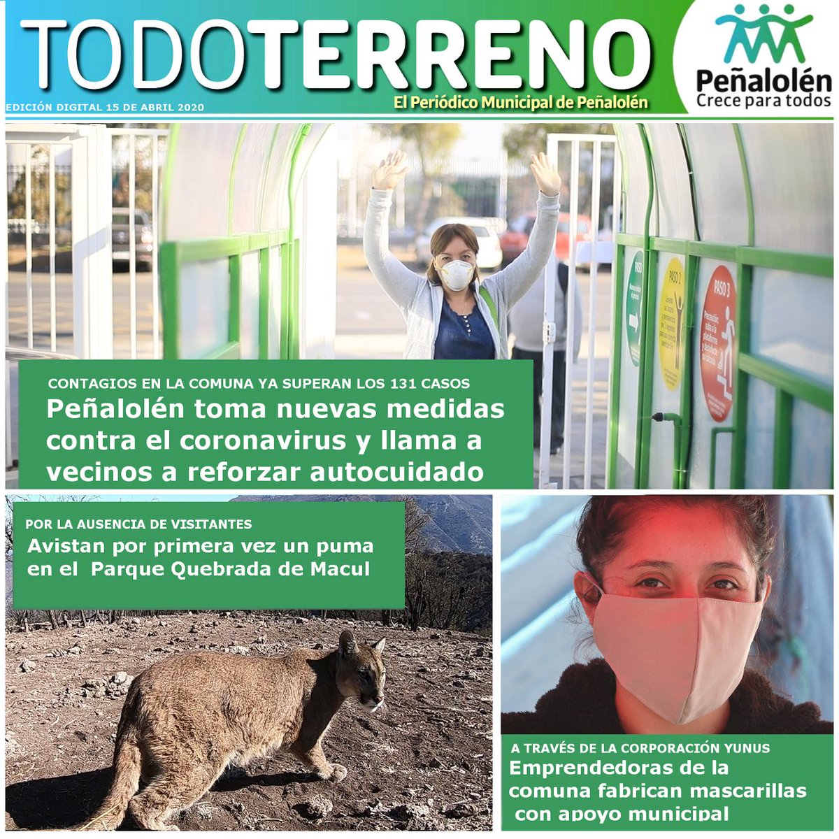 Un puma fue visto por 1ra vez desde que se tiene registro en el Parque Natural Quebrada de Macul🌳  por el respiro que la pandemia le está dando a la naturaleza en Chile y el mundo. ¿Quieres saber de esta noticia? Revisa nuestro TodoTerreno digital AQUÍ 👇noticias.penalolen.cl/todoterreno