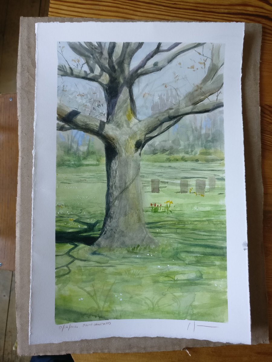 MilesJohnston's tweet image. Had so much fun painting this tree from life today, watercolour approx 2.5 hours
