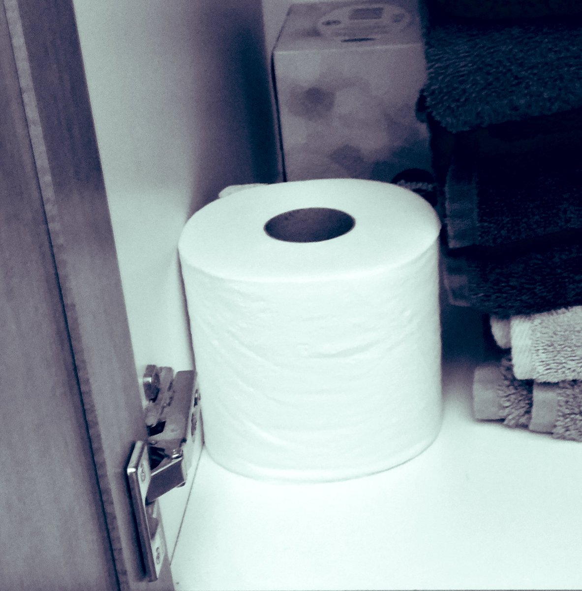 rjhartman's tweet photo. #Quarantinediary Day 22 (unofficial 36) is the day I have feared #lastroll 🧻 💩 #gotreal https://t.co/pFXIL1EGTo