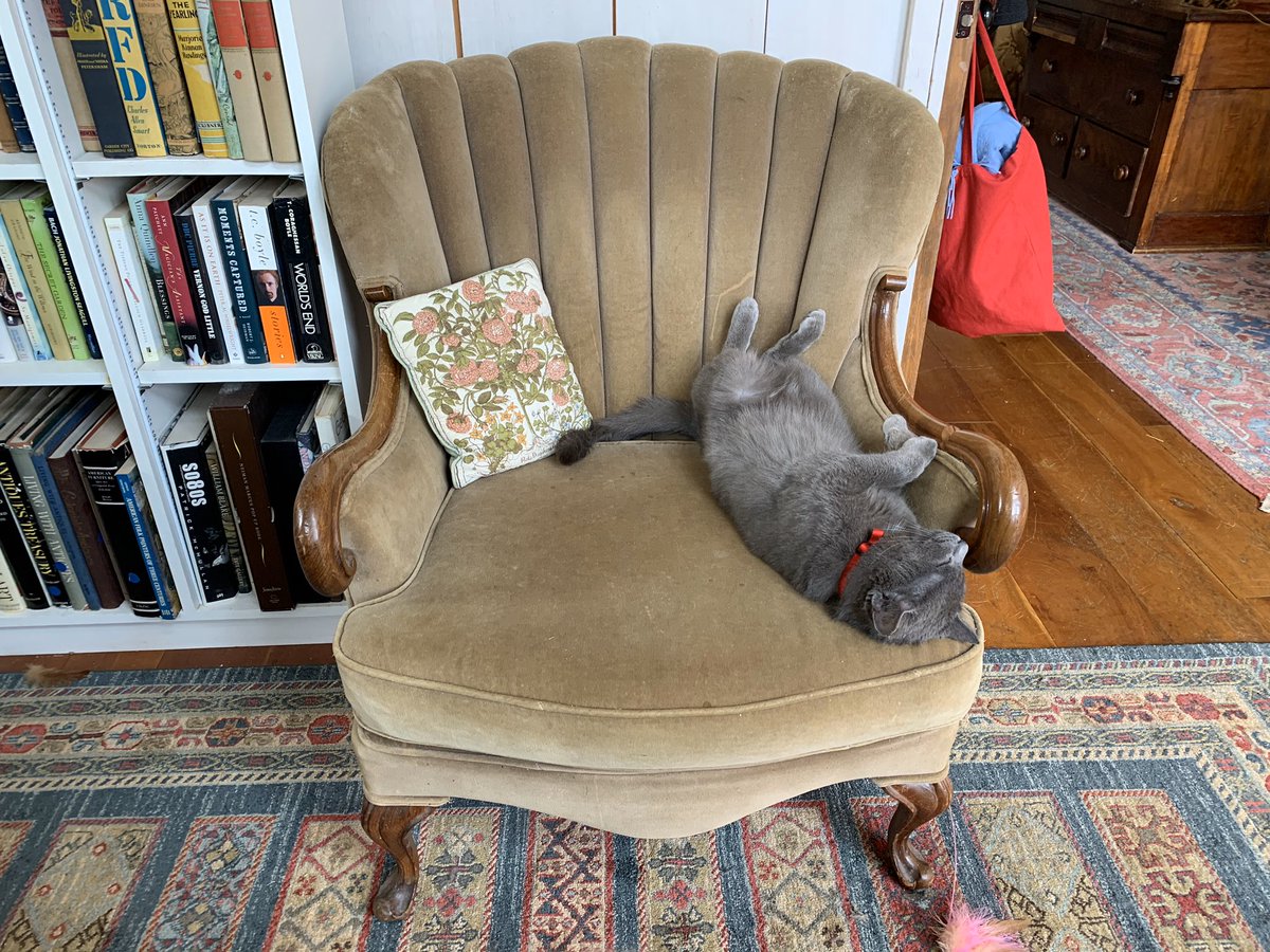 Is polite. Takes up only 30% of chair.