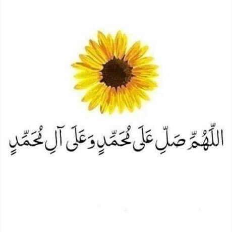 9iiimm2's tweet photo. ♥️♥️🌻. https://t.co/VdAgGjc1Gc