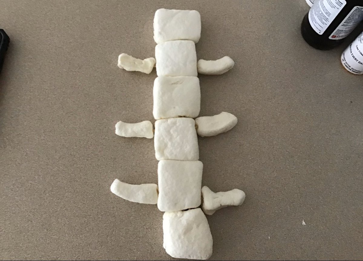 happily_teachyp's tweet photo. Make a “Skedible” - edible skeleton... still working on my name for this assignment...😂 I just can’t handle these kids sometimes. How are they such perfect humans?! ❤️ #stemsoars #flaglerstemacademy #stemeducation #covid19teacher https://t.co/DM4bqLCjQT