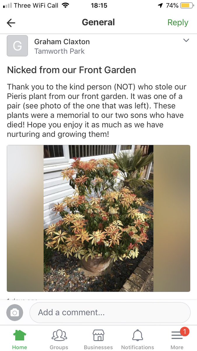 If someone has ‘accidently’ taken @claxton_graham’s plant - please do let him/us know so that we can get it back to him. It is a memorial plant and means a lot to him! Or just return it to Graham undamaged and no questions asked!!