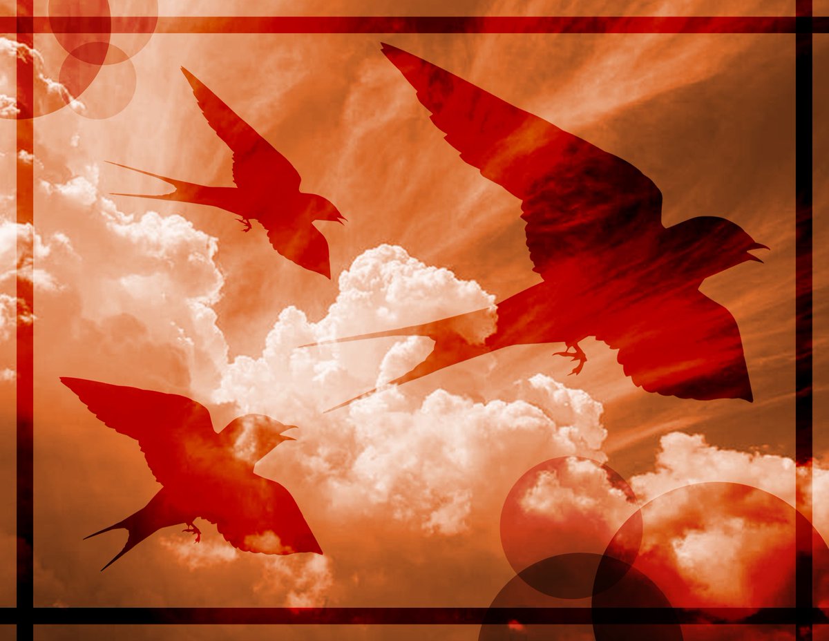 ln_visual's tweet image. Our Lakeville North art students are finding ways to create super cool art from home. #Adobe