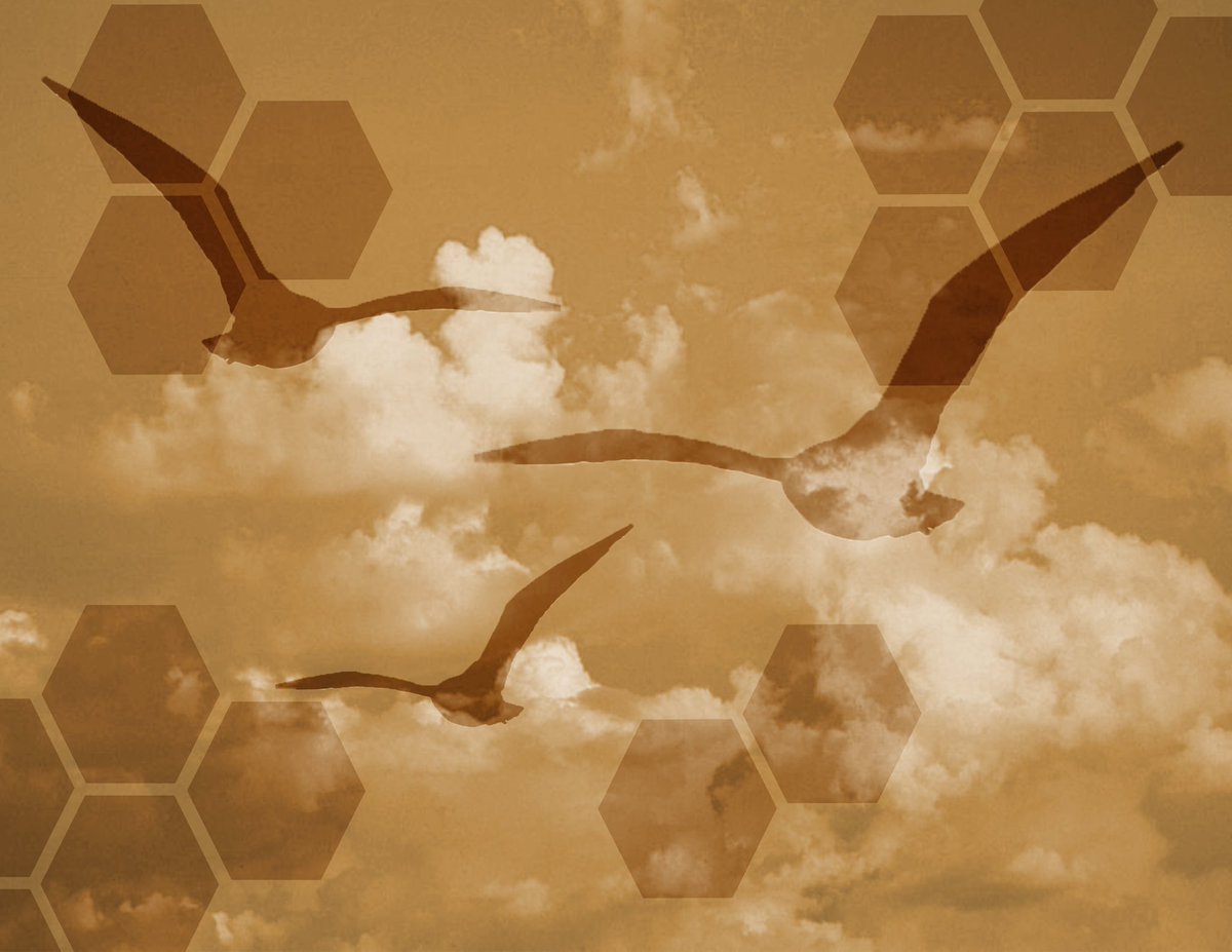 ln_visual's tweet image. Our Lakeville North art students are finding ways to create super cool art from home. #Adobe