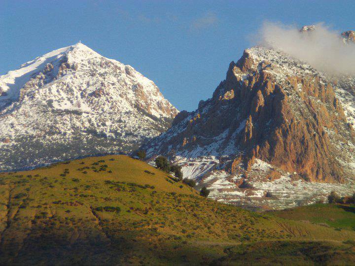 badyadz's tweet photo. Les montagnes algériennes &amp; leurs tribus arabes: https://t.co/EnWkEo4O7f