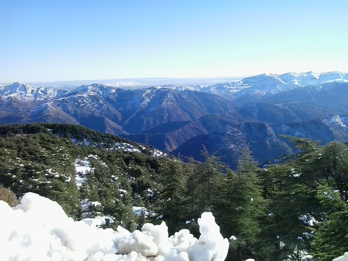 badyadz's tweet photo. Les montagnes algériennes &amp; leurs tribus arabes: https://t.co/EnWkEo4O7f