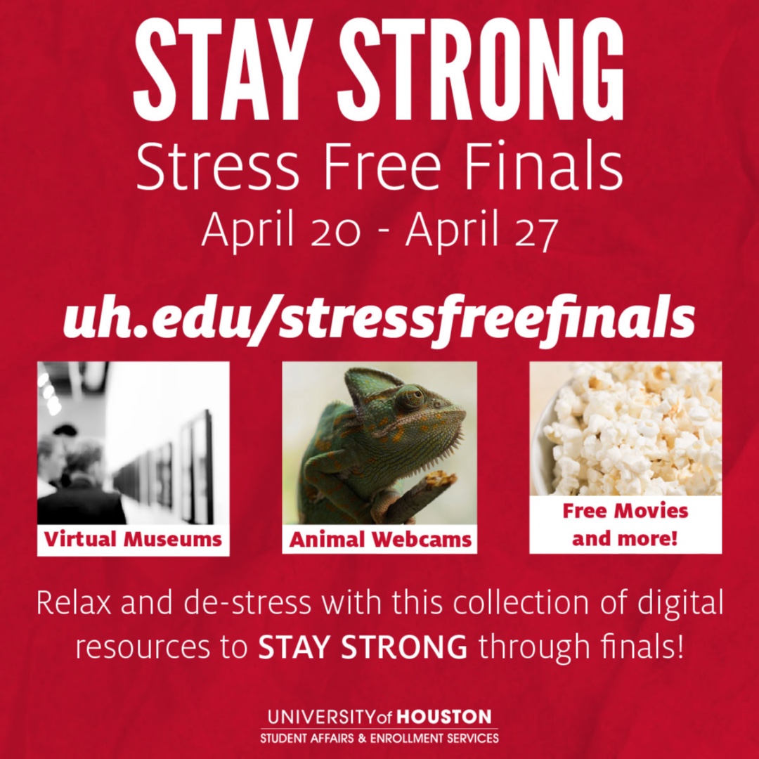 GetInvolvedUH's tweet photo. Hey, Coogs! 🗣️
Are you all ready for Stress-Free Finals? Starting Monday, April 20th, all UH students are welcome to enjoy fun-filled online events!
Click the link for more information!
https://t.co/Dy2Dckt3y3
#StayStrong #GetInvolvedUH #StressFreeFinals https://t.co/SXiPSmOzTe