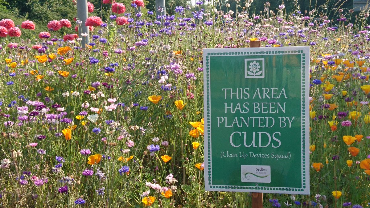 RIerdogan's tweet photo. Our little community interest company has been adapting to lockdown conditions with some useful self-isolation exercise on roundabouts, and lots of happy post! https://t.co/48ZzaS9qyL @danny__kruger @CUDS09527904 #community #gardening #wildflowers #lockdown #happypost #CUDS https://t.co/RwtiUxLdB4