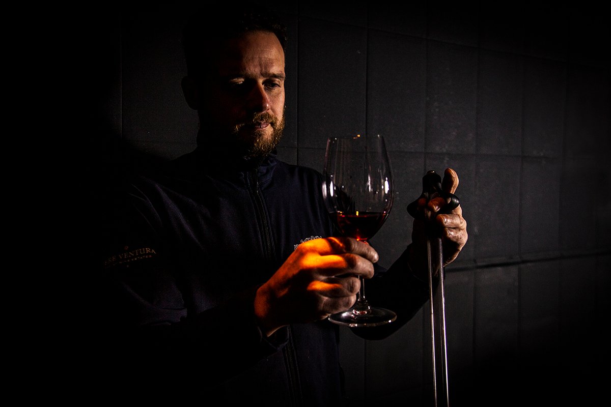 ⁠Observar, tastar, sentir… Trobar el punt just per oferir un vi emocionant. Aquesta és la nostra tasca a Can Bas 🍷