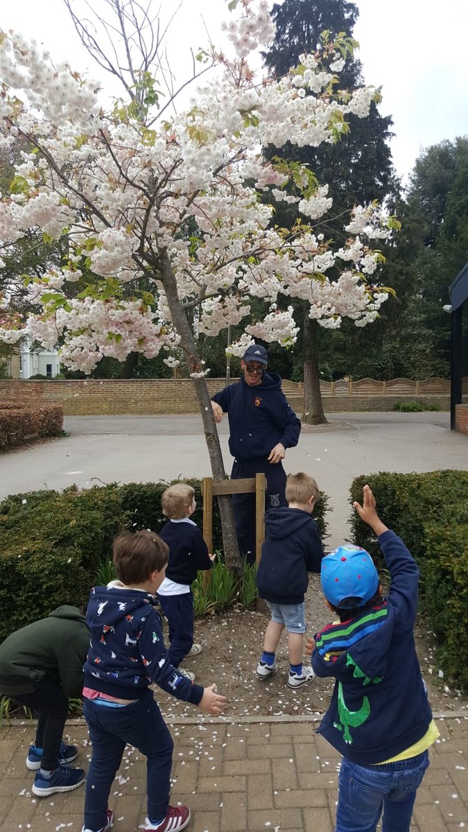 Dean Close School tweet media