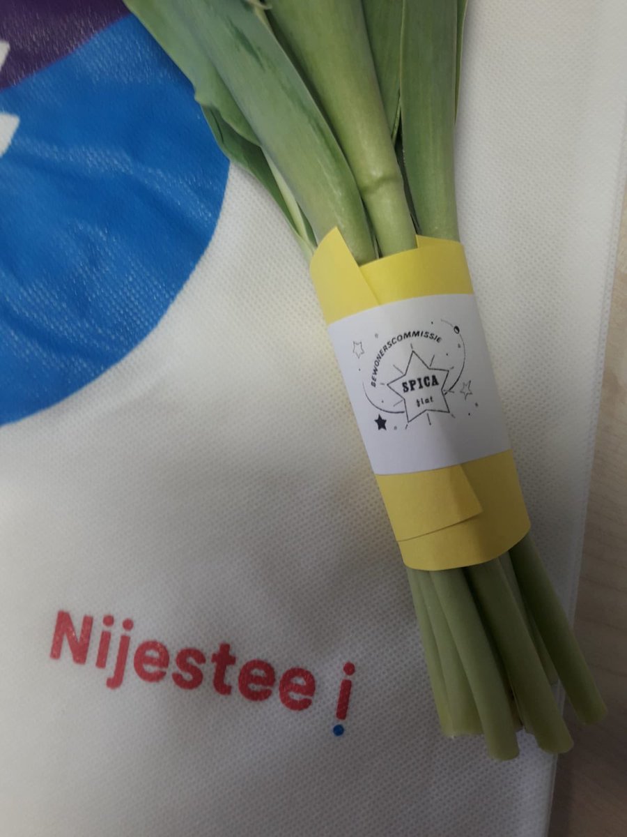 De bewoners van de #Spicaflat van @Nijestee in <a href="/paddepoel/">Paddepoel</a> kregen vandaag een bloemetje van de bewonerscommissie. “We denken aan je”. Top! #Corona