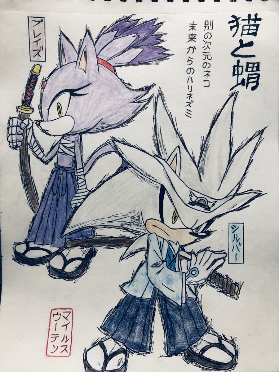 0118 Silver The Hedgehog And Blaze The Cat As Samurai Sonic Sonicthehedgehog Sonicfanart Silver Silverthehedgehog Blaze Blazethecat Silvaze Silverxblaze Blazexsilver Samurai Japanesetext Japaneseclothes シルバー ブレイズザ