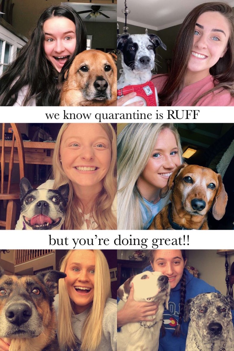 Hills2020's tweet photo. How cute is this! Seniors send me those positive message selfies! Send them to wighth@warrenhills.org! Dogs just make everything so much better 😊 https://t.co/SYDVsIkb6p