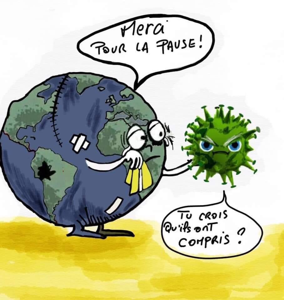 vivemalecture's tweet image. 