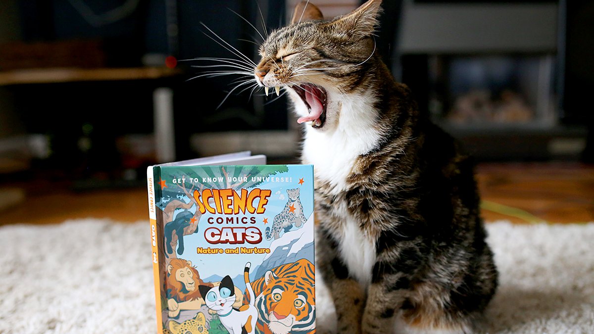 Want to teach your kids about animals? #ScienceComics will lay out the biology, behavior, and quirks that young zoologists will spend hours purring, er, poring over, including vibrant art from cartoonists including <a href="/ItsAndyHirsch/">Andy Hirsch 🦬</a>, <a href="/kylavan/">Kyla Vanderklugt</a>, &amp; <a href="/FalynnK/">Falynn K</a>! 😻 bit.ly/2pU26s9