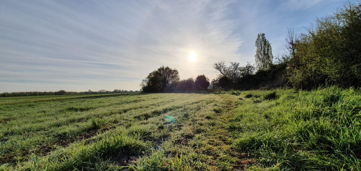 <a href="/Gr8FindsOnline/">Phyllis Knoll</a> <a href="/TisI_LeClerc/">Same Old Me</a> <a href="/GeorgeCochrane1/">George Cochrane</a> <a href="/MinxGenie/">Mini Maiden</a> <a href="/CrystalGirl1991/">🎨✏️ Mrs. Cromwell 🖌️🖍️</a> Here you are Phyllis #DailyExercise (Photo from No2 son) 🤗🌤