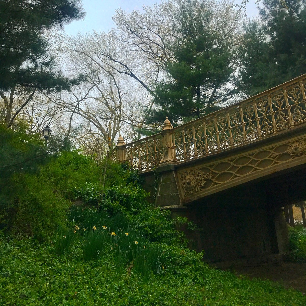 citygirlwrites's tweet photo. You never run out of beautiful views in @centralparknyc. Take a moment to get close up to the Pine Bank Arch, one of the last of the cast iron bridges in the Park built in 1861. 💚
*
*
*
#pinebankarch #castironbridge #centralpark #centralparkmoments #springtimeinnyc https://t.co/Bl9RNBs0Rz