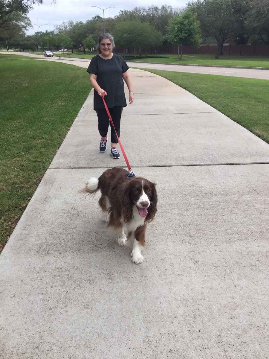 MicheleSCroft's tweet photo. Perfect way to end the week, a long walk with my fur baby while strolling into the weekend! @AE_Gators #selfcare #ElemTCTELA #workingfromhome https://t.co/SDU6yxOwHN