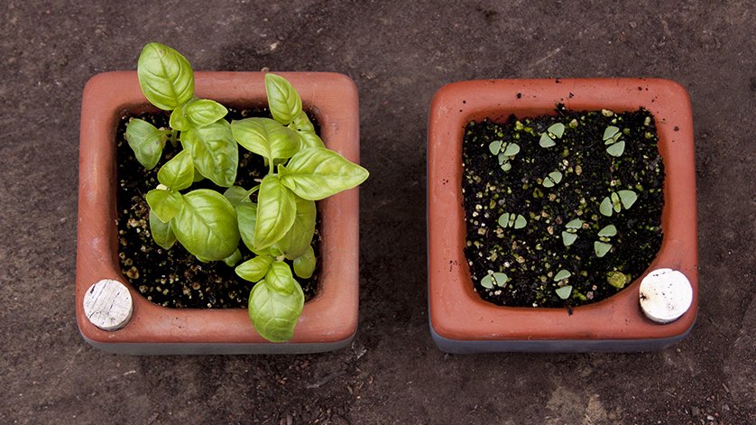 OrtaGardens's tweet photo. How to start seeds, plus 🌎Our Earth Day sale is next week. - https://t.co/qXbB7m2jQT https://t.co/VMsUw84uq2