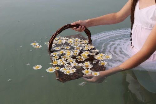 honeyymoan's tweet photo. what lana del rey song does this remind you of? https://t.co/HWqpltUjd4