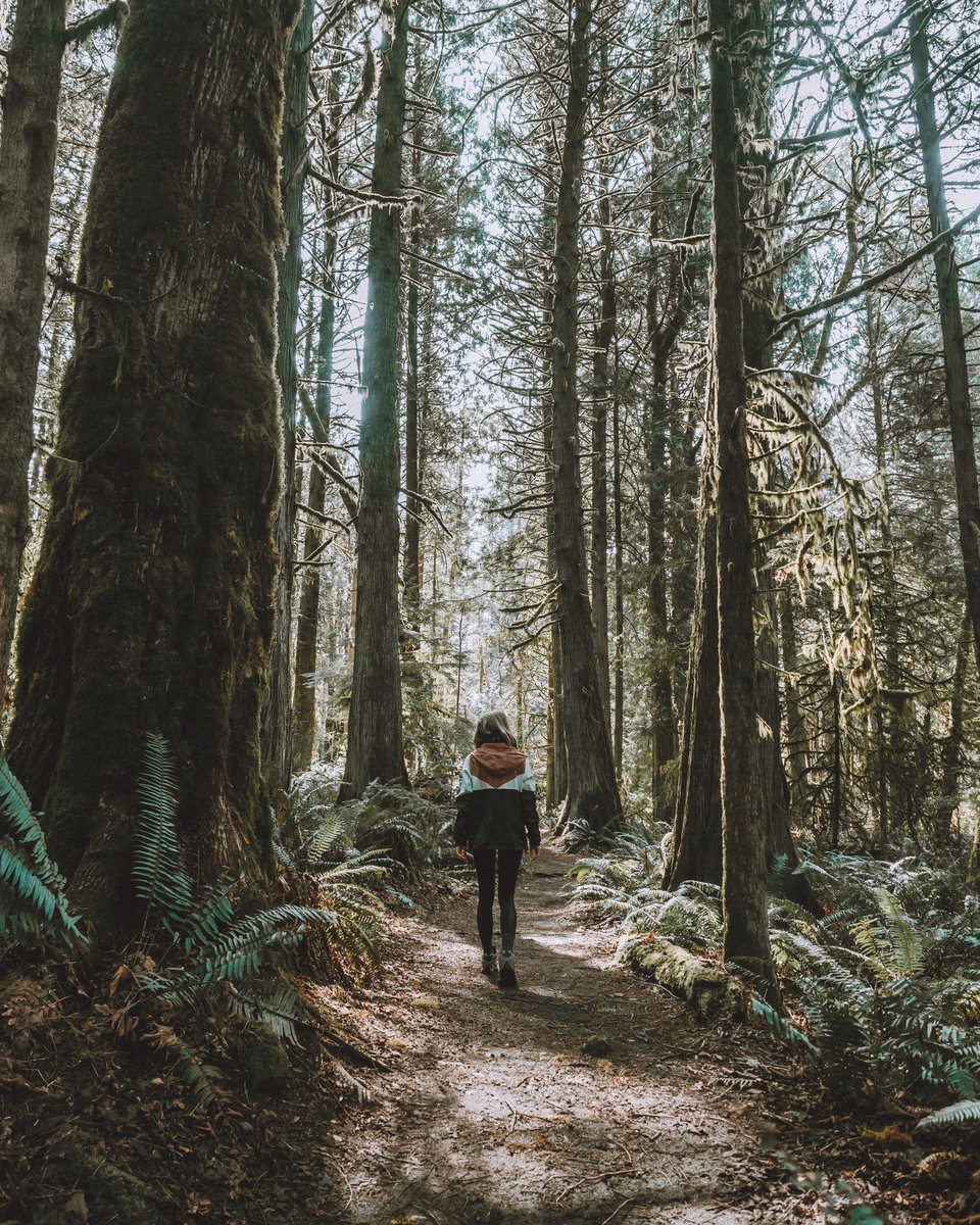 emitoms's tweet photo. Loving my new boots from @merrelloutside that I got on @zappos. Hoping my favorite trails open back up soon so I can see some of my favorite spots this summer! 🤞🏼#ad #GotItOnZappos #MerrellOutside #CreateYourTrail https://t.co/16CFDZ6bXr