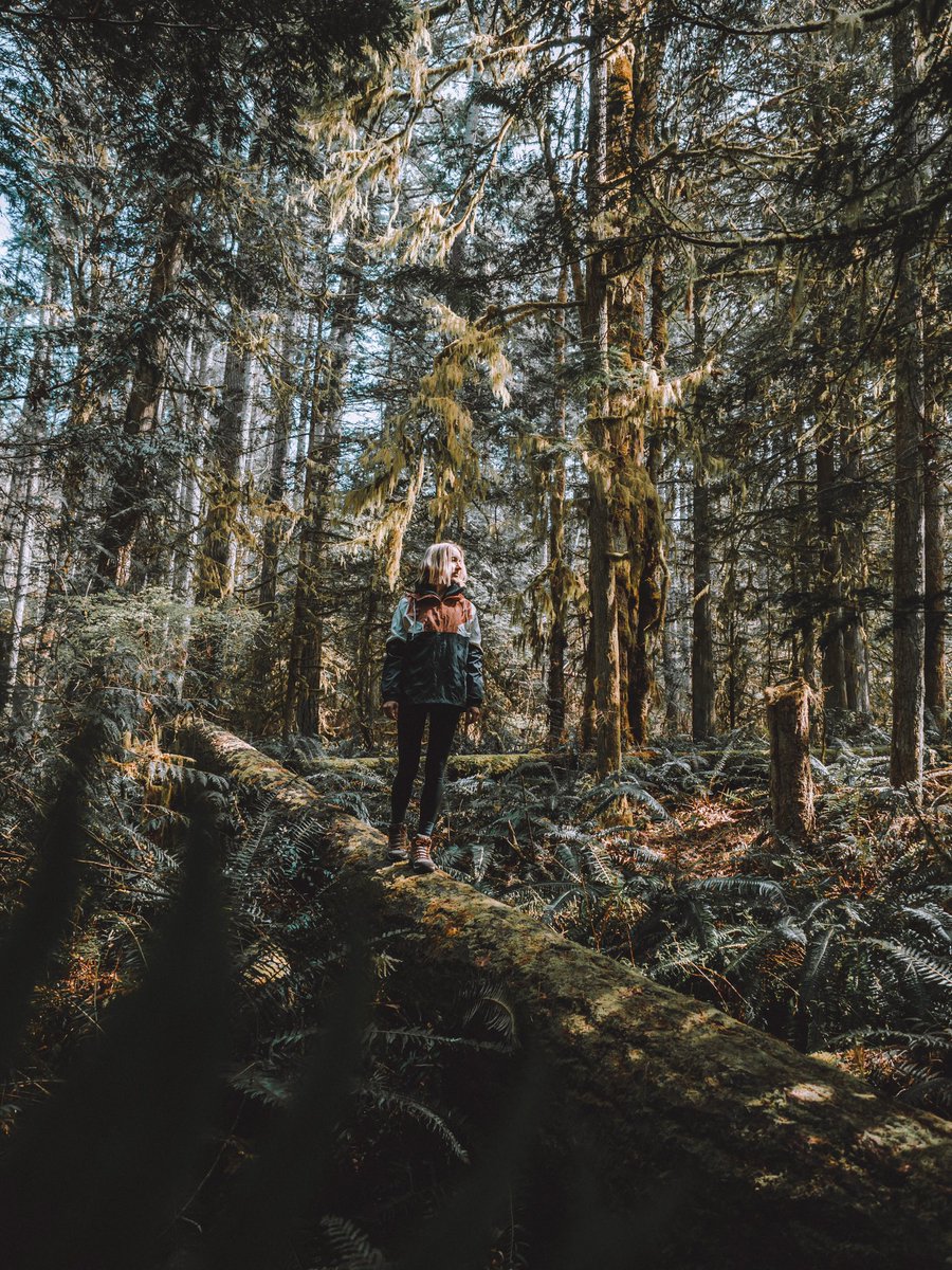 emitoms's tweet photo. Loving my new boots from @merrelloutside that I got on @zappos. Hoping my favorite trails open back up soon so I can see some of my favorite spots this summer! 🤞🏼#ad #GotItOnZappos #MerrellOutside #CreateYourTrail https://t.co/16CFDZ6bXr