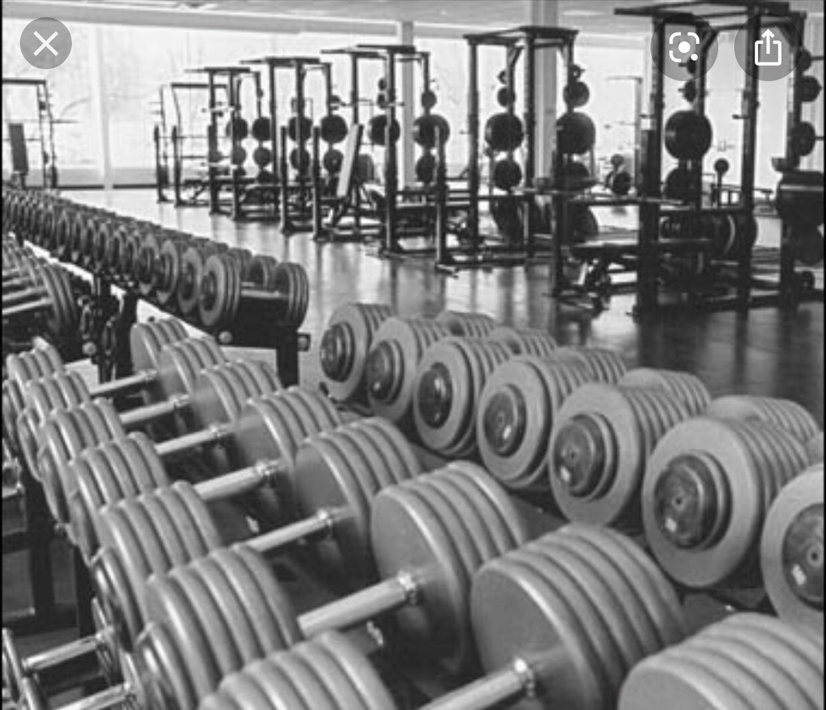 THaven27's tweet photo. Me everyday since the gyms have been closed https://t.co/l3hCs9dskJ