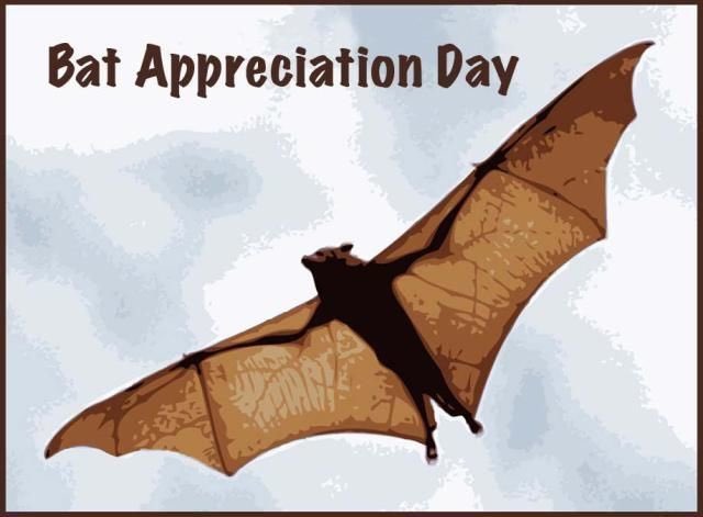 BirdandBatBoxes's tweet photo. Happy Bat Appreciation Day! Fun fact: Bat Appreciation Day was started by Bat Conservation International to raise awareness of the important roles bats play in ecosystems and to focus on protecting all of the different species of bats! To learn more, visit https://t.co/wW9QrG85mn https://t.co/tbDlckg2Rh