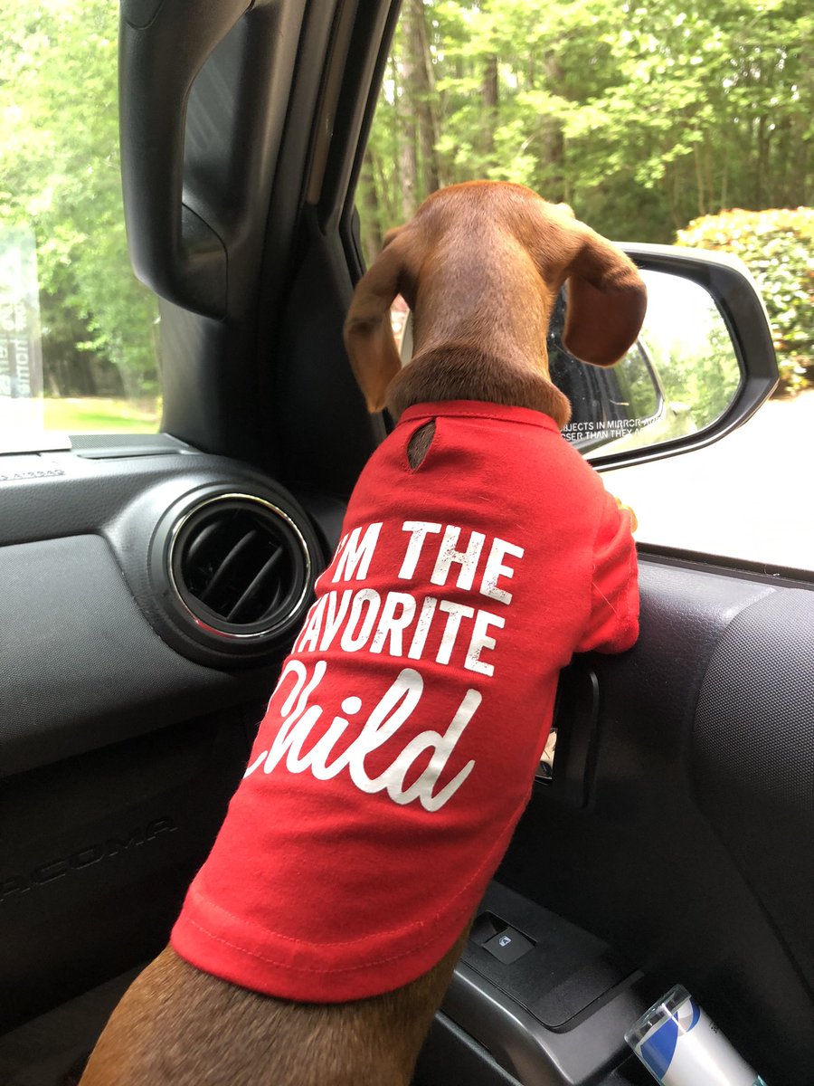 _BJC_'s tweet photo. These boys love looking out the truck windows. Driving around the neighborhood, they think we’re on a trip. #favoriteChildren #IsolationLife #isolationandchill https://t.co/69BjbQqVUy