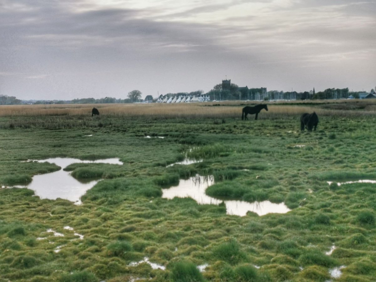 Tessa3606's tweet photo. Day 37 a long day with much achieved but low mood continued and our much needed around the marsh was spoilt by me feeling stress in social distancing. Tomorrow is another day. #100daysofwalking #walkingthroughthecrisis #needtogetagrip https://t.co/IMY1xNnSDv