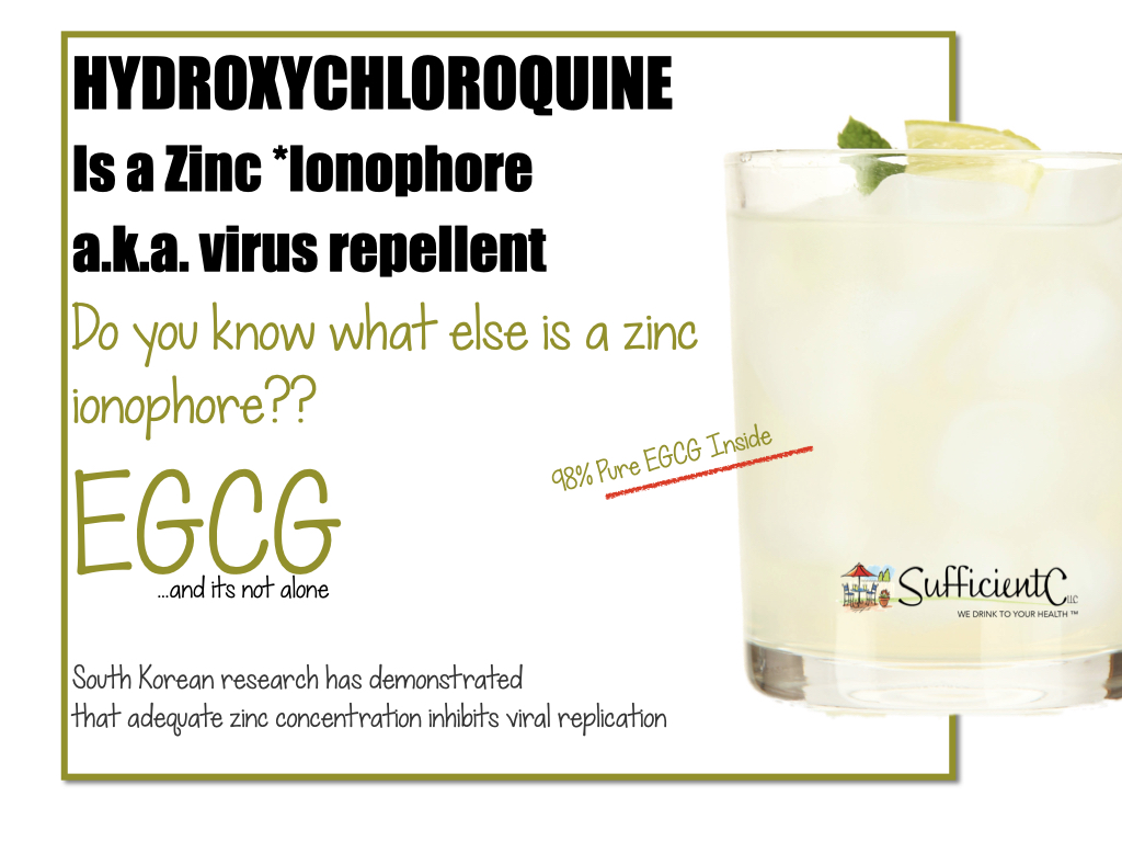 sufficientc's tweet photo. Ionophores r transporters. A #zinc ionophore helps u'r immune cells receive &amp; sustain zinc 4 antiviral protection. #EGCG a.k.a. #greenteaextract is a powerful #zincionophore. Our 98% pure EGCG is within #sufficientc w/ #vitaminc
- #immunesupport #aa #antiviral #naturalremedy #uti https://t.co/gx9RGMbJJa