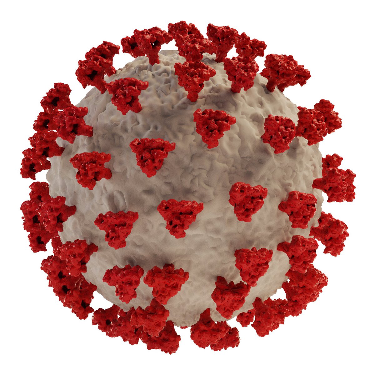 Relajar las medidas de confinamiento justo cuando la curva empieza a aplanarse, es como dejar de tomar los antibióticos que te han recetado porque ya empiezas a sentirte bien🤦🏻‍♂️🙄😷

#YoMeQuedoEnCasa
#AplanandoLaCurva