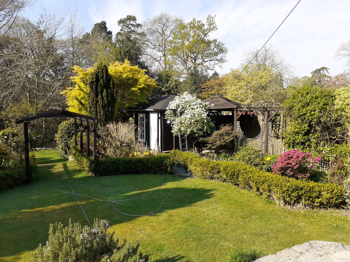#gqt how do I stop my box hedges going red/brown?