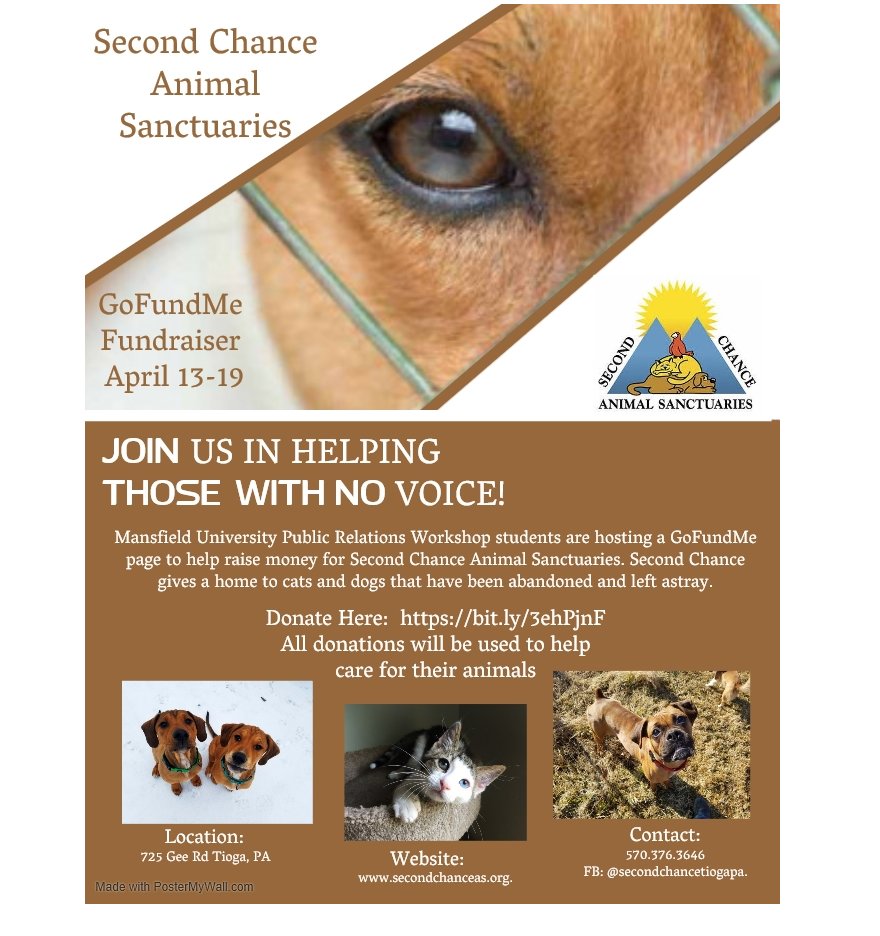 digitalpr3300's tweet photo. Today’s weather in #TiogaPA? Furry with a high chance of cats and dogs. Traffic is clear to Go Fund Me https://t.co/rirg0NK2GI donations for Second Chance Animal Sanctuaries. #SecondChance #cats #dogs #AnimalShelter #GoFundMe https://t.co/FUiZ5QmbiQ