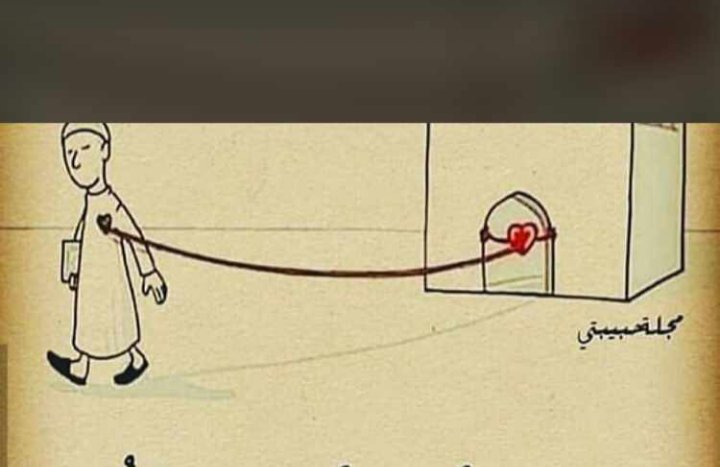 ربي وان رأيتني أمشي في خُطى البعد عنك صحح مساري وردني إليك رداً جميلا💔