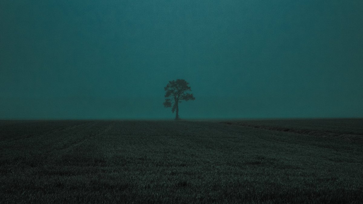 JakeStodg's tweet image. Jake. i’m 21 and these are my favorite photos i’ve taken so far in 2020