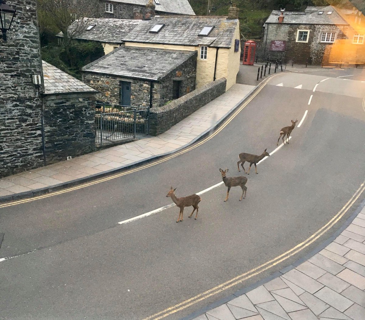 #Boscastle #Covide19 #Lockdown Credit to <a href="/Riverside250216/">The Riverside</a>