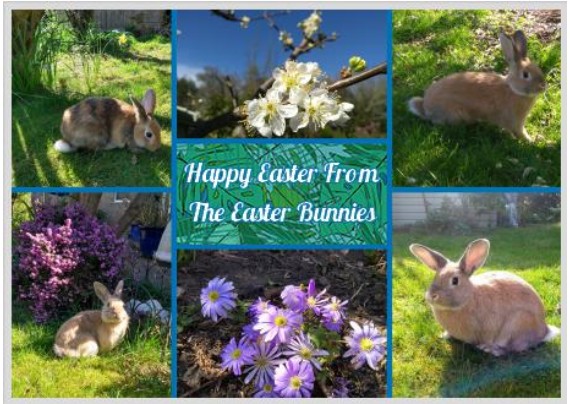 Wishing everyone belated greetings 😍