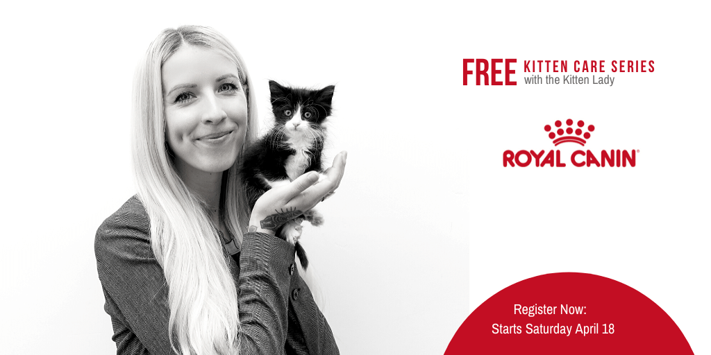 TheCatnipTimes's tweet photo. 📅Mark Your Calendars!
👩💻Royal Canin and The Kitten Lady have teamed up to help first-time foster parents of cats and kittens with a new, free webinar series called Catology!
➡️Learn more and register: https://t.co/U9rO8GaKWL
#FirstTimeFoster #catsoftwitter #Spon https://t.co/hfAWP3DN0j