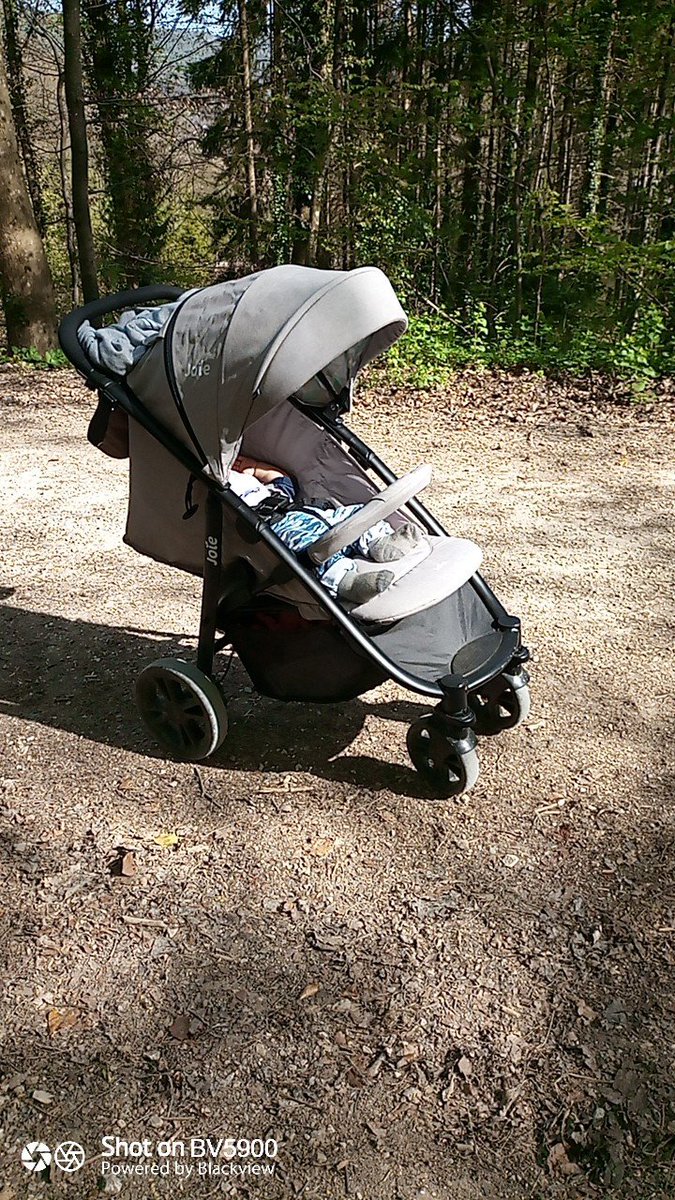 Noch von unserer Morgen runde nur Fynn, Smukke, Finja und Ich ❤️😍