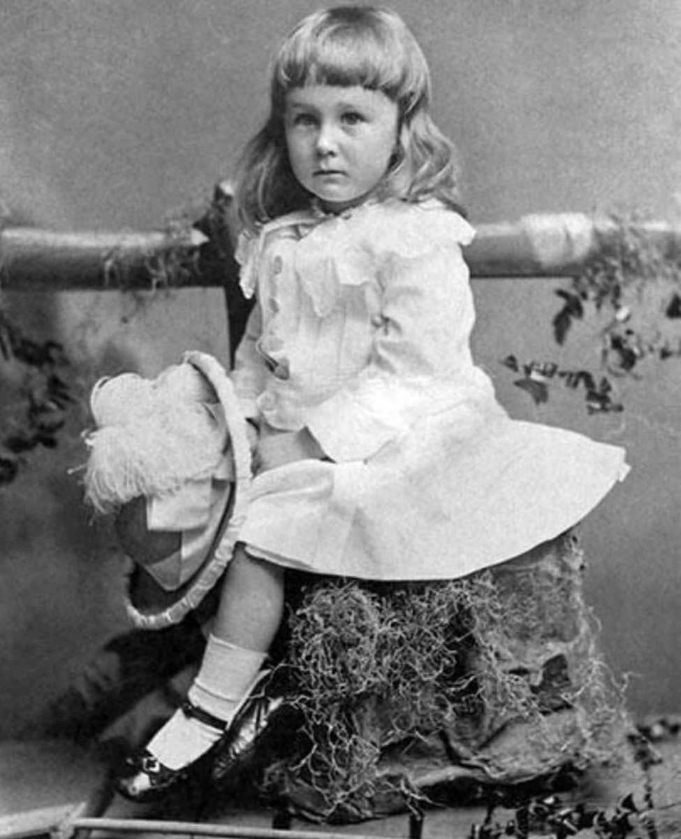 Shahrooz Ghassemian (@shahroozg) on Twitter photo This portrait is of a 2-year-old Franklin D. Roosevelt, the 32nd president of the United States, in a dress with shoulder-length hair, 1884.
According to the Smithsonian's site this was normal back then. #FranklinDRoosevelt #POTUS This portrait is of a 2-year-old Franklin D. Roosevelt, the 32nd president of the United States, in a dress with shoulder-length hair, 1884.
According to the Smithsonian's site this was normal back then. #FranklinDRoosevelt #POTUS