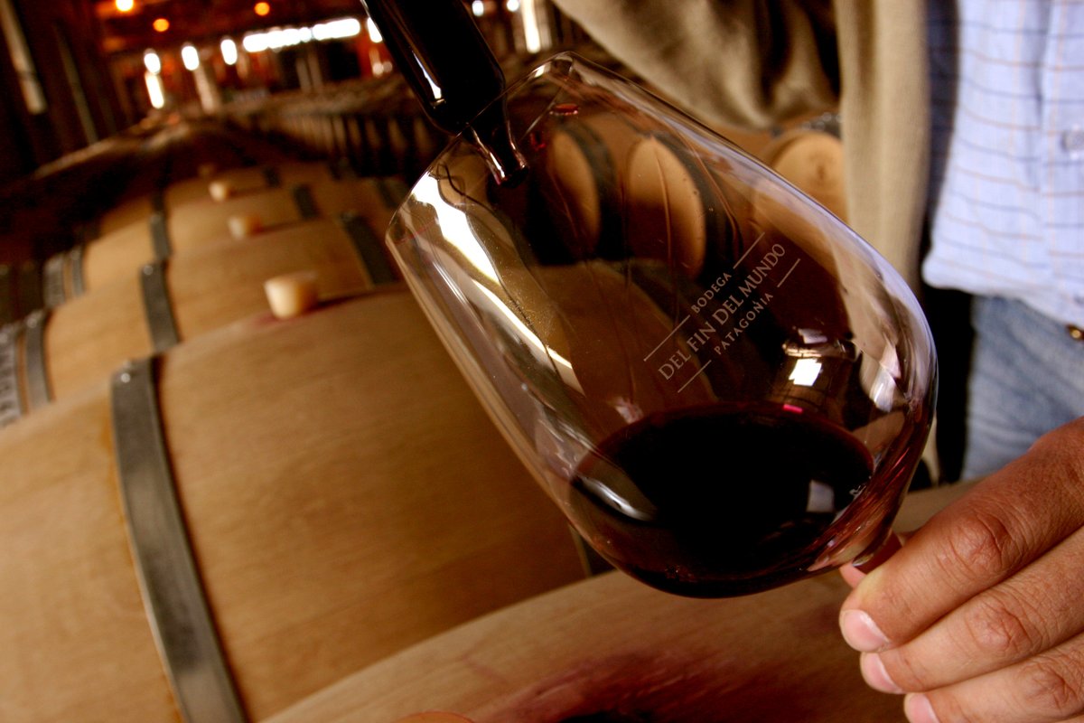 Argentina es el principal país productor de Malbec en el mundo. Es desde 2011 la variedad más cultivada en el territorio y la que más aumentó su superficie en los últimos 20 años.

#MalbecWorldDay #MalbecArgentino