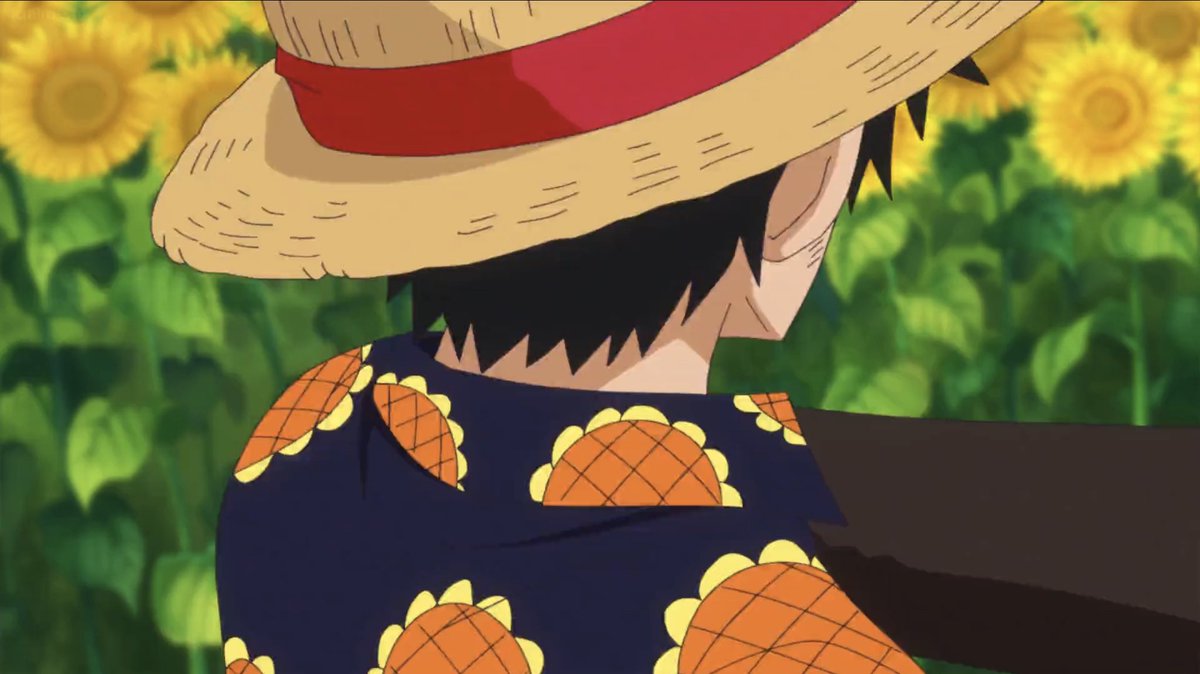 The way law grabbed luffy...i gasped