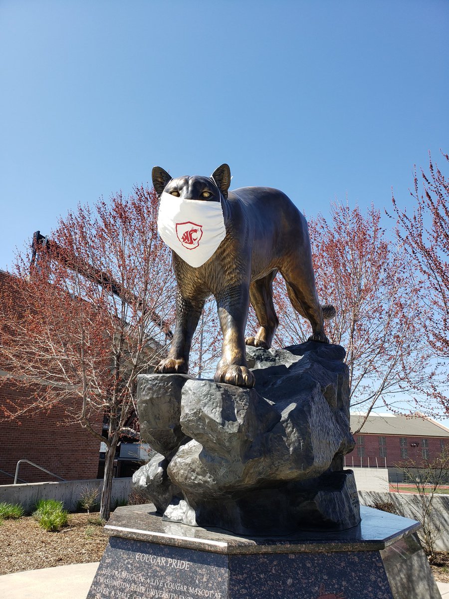 Safety first!
#GoCougs